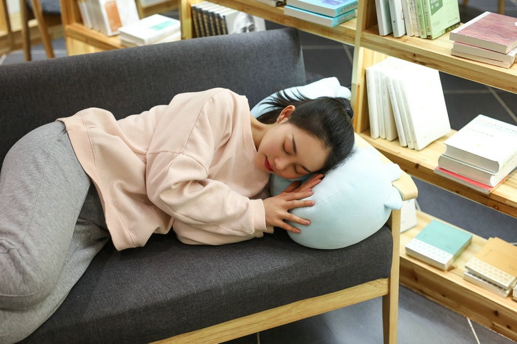 Kawaii Soft Plush Dinosaur Toy Kawaii Soft Plush Dinosaur Toy