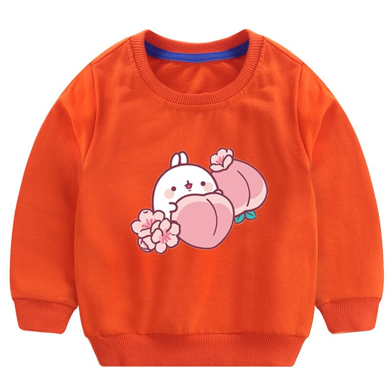 Cartoon Molang Outerwear Hoodies Kawaii Sweatshirt