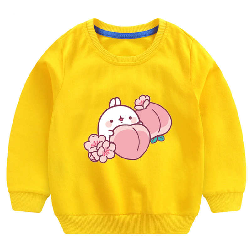 Cartoon Molang Outerwear Hoodies Kawaii Sweatshirt