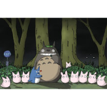 My Neighbor Totoro Poster Cloth Silk Poster Home Decoration Wall Art Fabric Poster Print 30X45cm,40X60cm.50X75cm,60X90cm My Neighbor Totoro Poster Cloth Silk Poster Home Decoration Wall Art Fabric Poster Print 30X45cm,40X60cm.50X75cm,60X90cm
