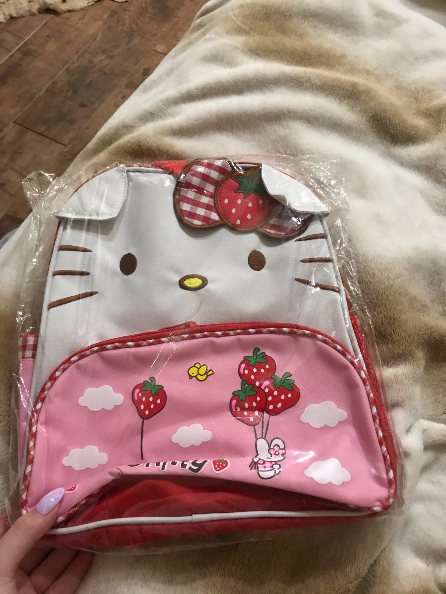 Cartoon Hello Kitty Strawberry Design Bag - KawaiiMerch.com