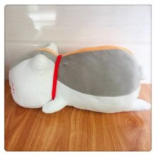 snapedit_1667773717823