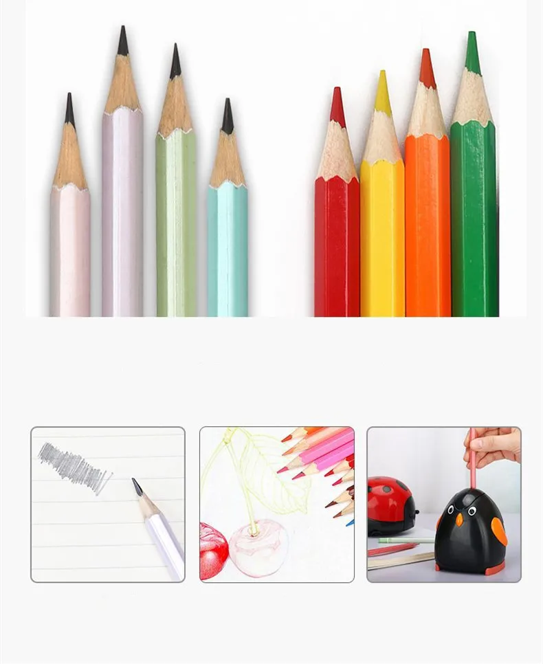 Kawaii Owl Penguin Ladybug Shape Automatic Electric Stationery Pencil Sharpener