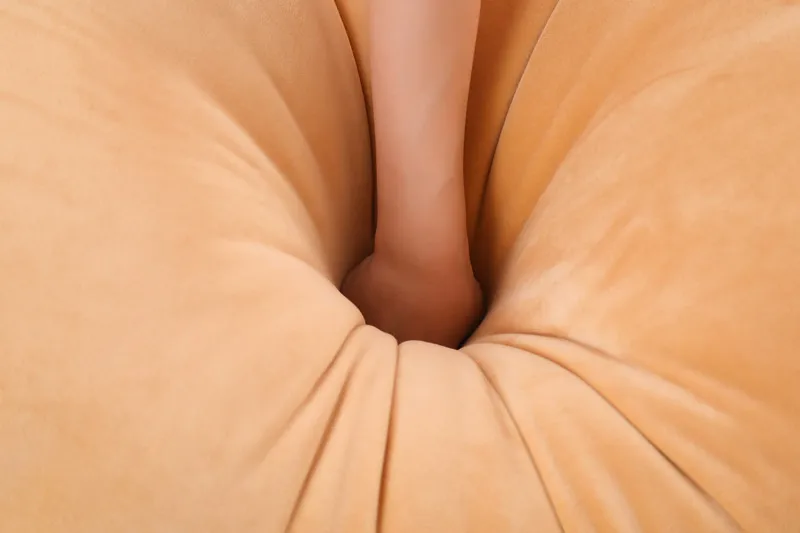 Dog Cat Totoro Penguin Pig Cartoon Stuffed Pillow