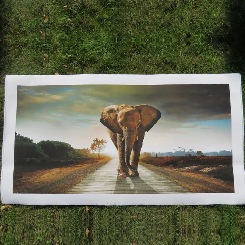 Hayao Miyazaki Totoro Neighbor Cartoon Painting Poster