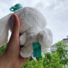 Cinnamoroll Dog Cartoon With Crown Design Plush Stuffed Toys Cinnamoroll Dog Cartoon With Crown Design Plush Stuffed Toys