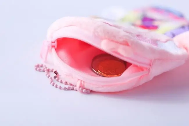 Little Twin Star Design Mini Purse