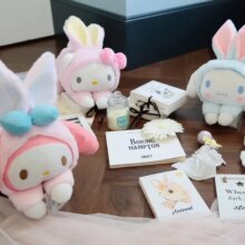 Cartoon Melody Cinnamoroll Dog Rabbit Soft Plush Doll Cartoon Melody Cinnamoroll Dog Rabbit Soft Plush Doll