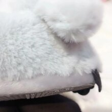 Couples Penguin Indoor Soft Warm Shoe Couples Penguin Indoor Soft Warm Shoe