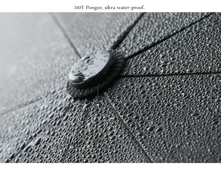 Totoro Anime Rain And Sun Windproof Portable Umbrella