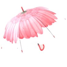 Kawaii Maple Leaves,Bird And Cat Transparent Umbrella Kawaii Maple Leaves,Bird And Cat Transparent Umbrella