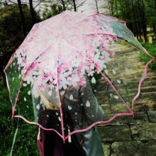 Apollo Cherry Blossom Flower Transparent Umbrella Apollo Cherry Blossom Flower Transparent Umbrella