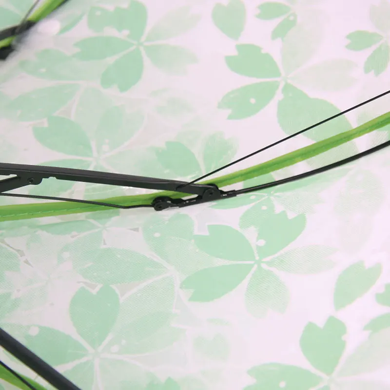 Apollo Cherry Blossom Flower Transparent Umbrella