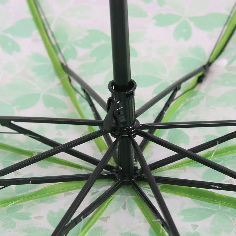 Apollo Cherry Blossom Flower Transparent Umbrella