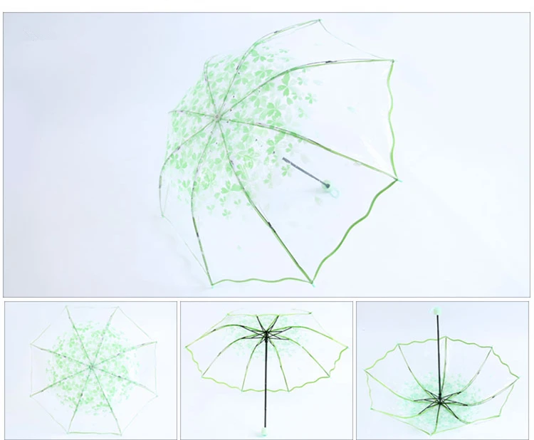 Apollo Cherry Blossom Flower Transparent Umbrella