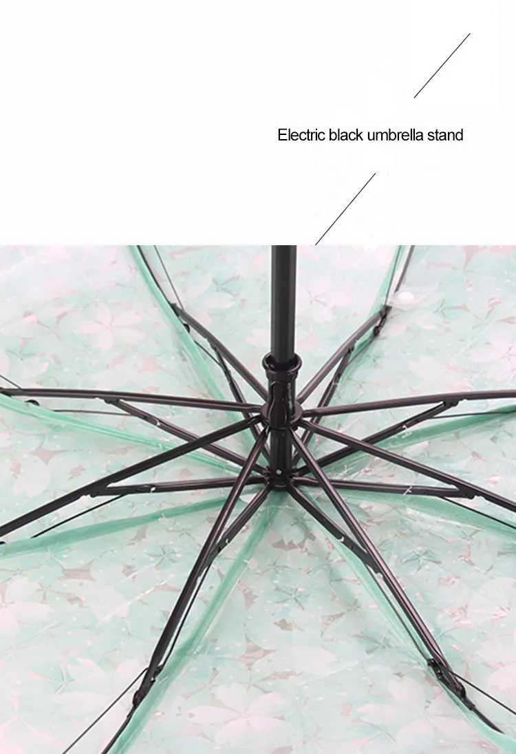 Apollo Cherry Blossom Transparent Tri-Fold Umbrella