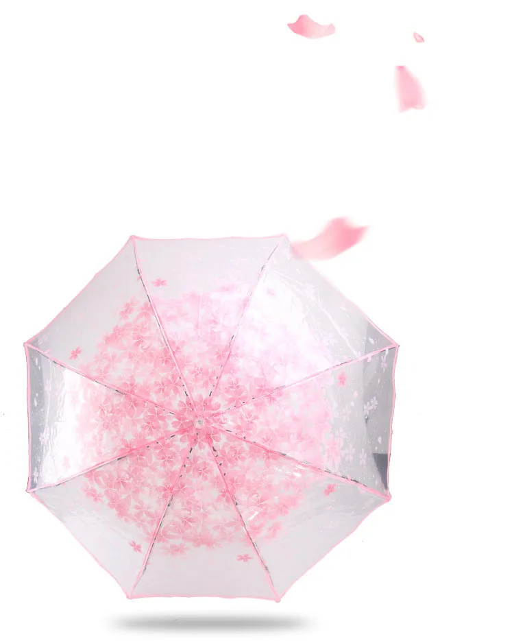 Apollo Cherry Blossom Transparent Tri-Fold Umbrella
