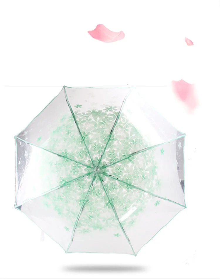 Apollo Cherry Blossom Transparent Tri-Fold Umbrella