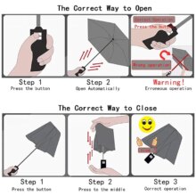 Cherry Blossom & Mushroom Transparent Umbrella Cherry Blossom & Mushroom Transparent Umbrella