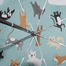 Kawaii Cat Ultra-Light Automatic Folding Umbrella Kawaii Cat Ultra-Light Automatic Folding Umbrella
