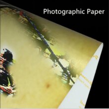 Pokemon Mega Charizard Pocket Monster Prints Canvas Wall Poster Pokemon Mega Charizard Pocket Monster Prints Canvas Wall Poster