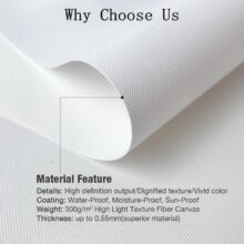 Mewtwo Pocket Monster HD Animation Paintings 5 Piece Wall Art Poster Mewtwo Pocket Monster HD Animation Paintings 5 Piece Wall Art Poster