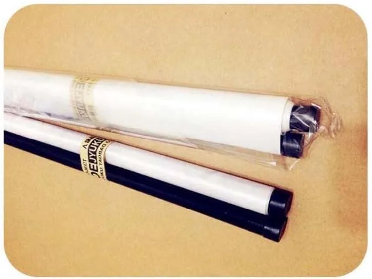 Pokemon Rayquaza Anime Printed Scroll Wall Poster