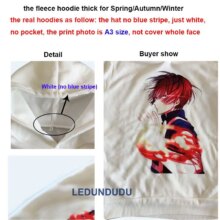 The Rising Of The Shield Hero Naofumi Iwatani Printed Casual Hoodies The Rising Of The Shield Hero Naofumi Iwatani Printed Casual Hoodies