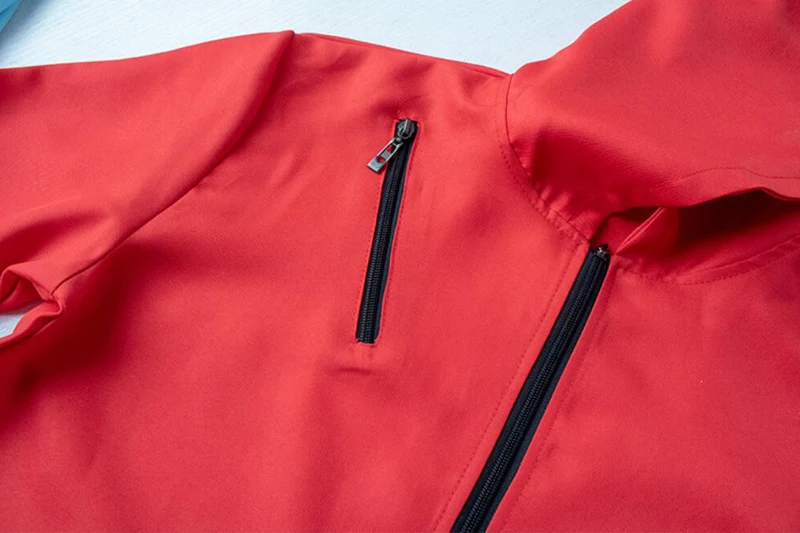 Salvador Dali Money Heist The House Of Paper Costumes & Mask