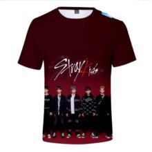 K-Pop Stray Kids Album 3D Print Minho Jisung Woojin Changbin Felix T-Shirt K-Pop Stray Kids Album 3D Print Minho Jisung Woojin Changbin Felix T-Shirt