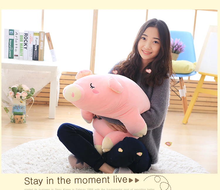 Kawaii Sleeping Pig Soft Stuffed Toy
