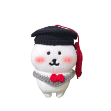 17cm Self-Deprecating Bear Kawaii Graduation Dress 17cm Self-Deprecating Bear Kawaii Graduation Dress