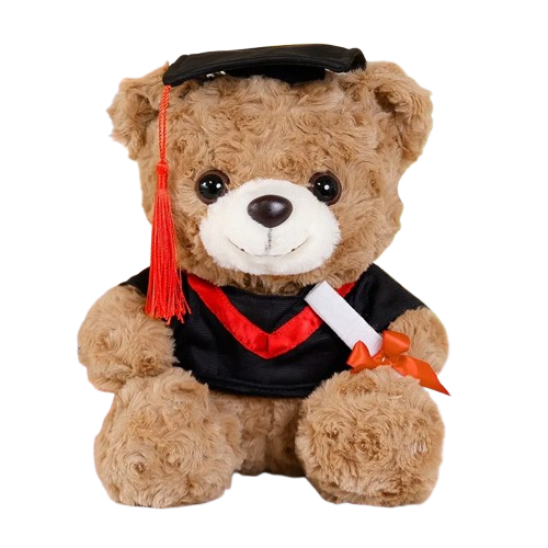 Kawaii Cartoon Graduation Dr.Bear Plush Toy