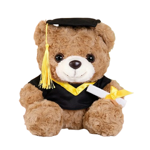 Kawaii Cartoon Graduation Dr.Bear Plush Toy