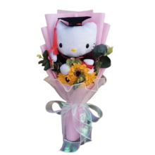 45cm Kawaii Anime Sanrio Graduation Hello Kitty Plush Bouquet 45cm Kawaii Anime Sanrio Graduation Hello Kitty Plush Bouquet