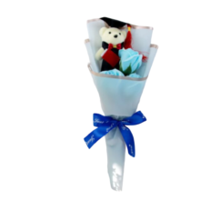 Teddy Bear Kawaii Graduation With Rose Plush Bouquet Teddy Bear Kawaii Graduation With Rose Plush Bouquet