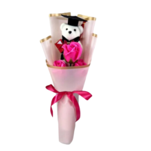 30cm Teddy Bear Kawaii Graduation With Rose Plush Bouquet 30cm Teddy Bear Kawaii Graduation With Rose Plush Bouquet
