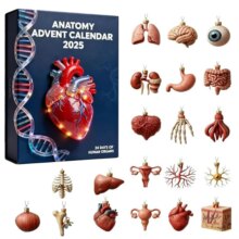 Kawaii Anatomy Explore Advent Calendar Kawaii Anatomy Explore Advent Calendar