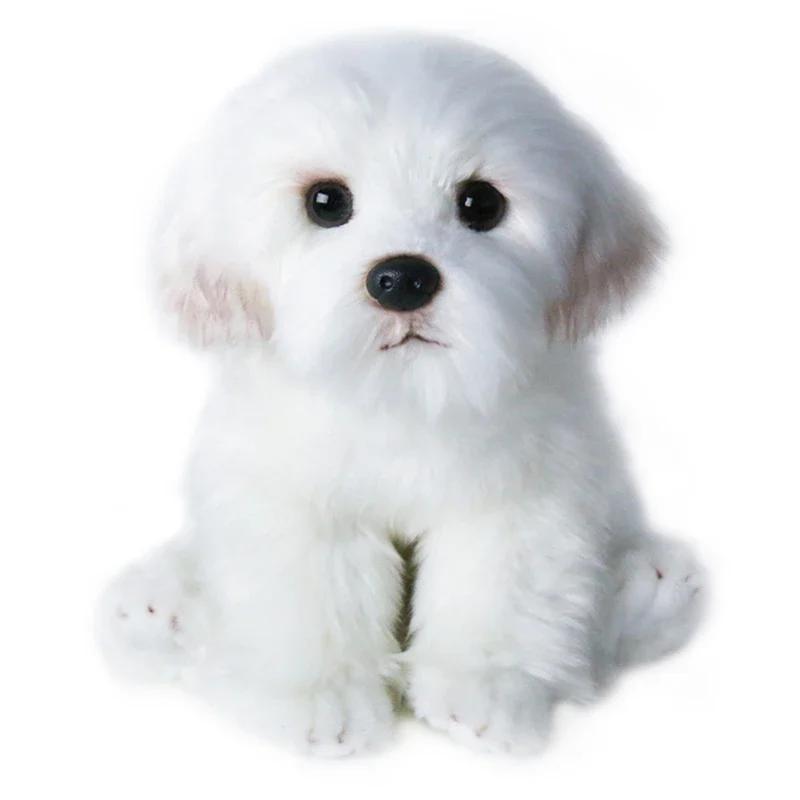 20cm Kawaii Maltese Dog Plush Toy