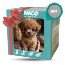 Kawaii Maltipoo Dog Plush Toy With Blind Box Kawaii Maltipoo Dog Plush Toy With Blind Box