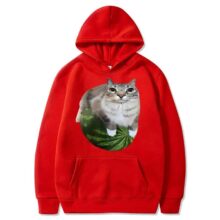 Kawaii Watermelon Cat Printed Hoodie Kawaii Watermelon Cat Printed Hoodie