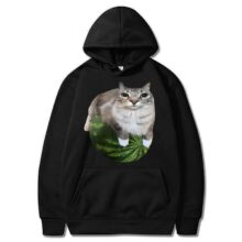 Kawaii Watermelon Cat Printed Hoodie Kawaii Watermelon Cat Printed Hoodie
