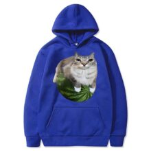 Kawaii Watermelon Cat Printed Hoodie Kawaii Watermelon Cat Printed Hoodie