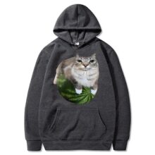 Kawaii Watermelon Cat Printed Hoodie Kawaii Watermelon Cat Printed Hoodie