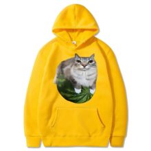 Kawaii Watermelon Cat Printed Hoodie Kawaii Watermelon Cat Printed Hoodie